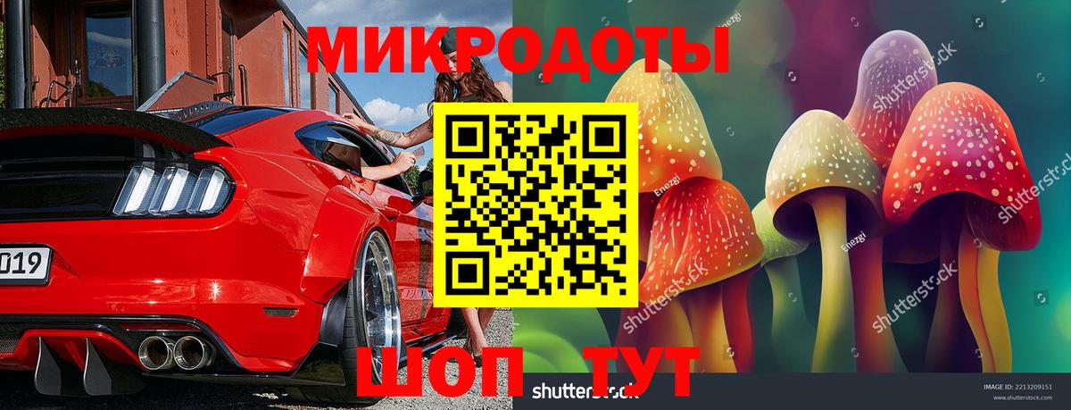 Галлюциногенные грибы MAGIC MUSHROOMS  Вход с VPN  Галлюциногенные грибы GOLDEN TEACHER  Ржев 