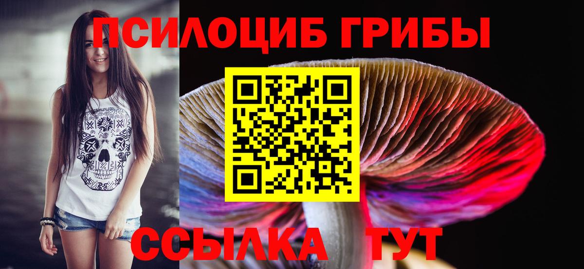 Галлюциногенные грибы Cubensis Ржев